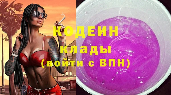 2c-b Великий Новгород