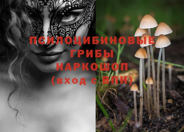 сатива Козельск
