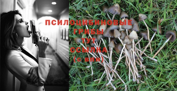 первитин Козловка