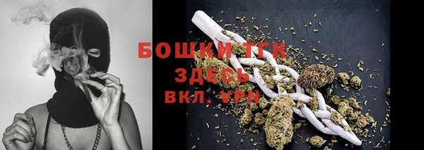 сатива Козельск