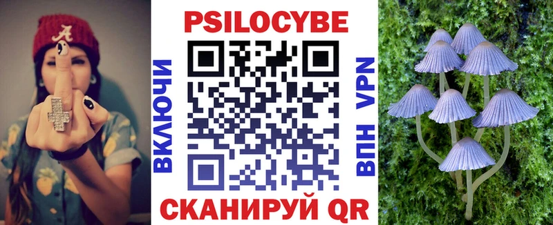 Купить где  Бикин  Галлюциногенные грибы GOLDEN TEACHER 