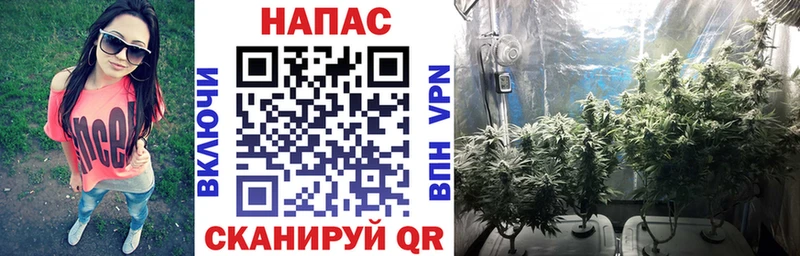 Купить  Бикин  Конопля сатива 